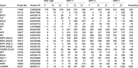 Expression Levels Of Flowering Genes Upregulated Or Downregulated In