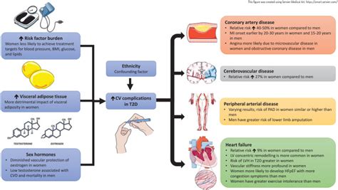 Sex And Ethnic Differences In The Cardiovascular Complications Of Type Diabetes PMC