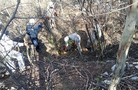 Localizan Toma Clandestina De Hidrocarburos En Salina Cruz Presslibre