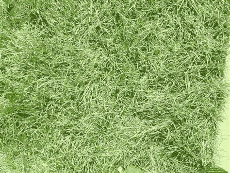 Grass texture - Openclipart