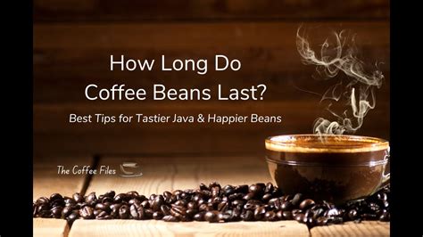 How Long Do Coffee Beans Stay Fresh Best Tips For Tastier Java And