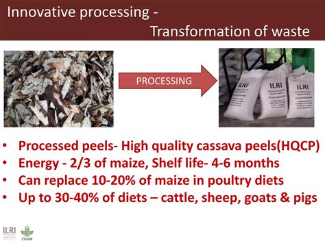 Innovative Processing Of Cassava Peels To Livestock Feeds—a