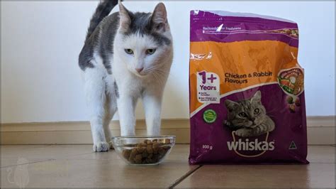 Honest Whiskas Dry Cat Food Review 2024