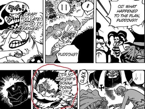 Luffy have used future sight haki on Kaido : OnePiece