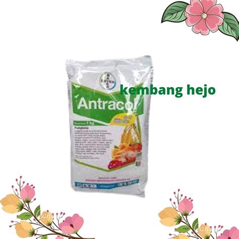 Jual Fungisida Antracol 70 Wp 250 Gram Gr Obat Tanaman Jamur Untuk