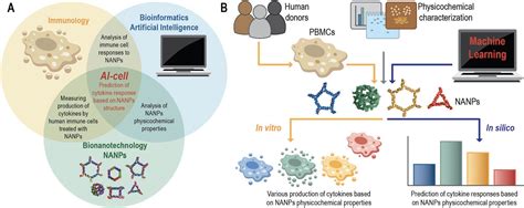 Ai Powered Tool Predicts Human Immune Responses To Nucleic Acid