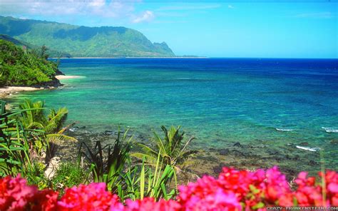 hawaii wallpaper  pictures wallpaperset