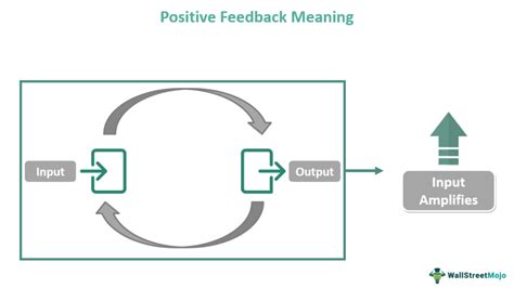 Positive Feedback - What Is It, Mechanism, Examples, Vs Negative