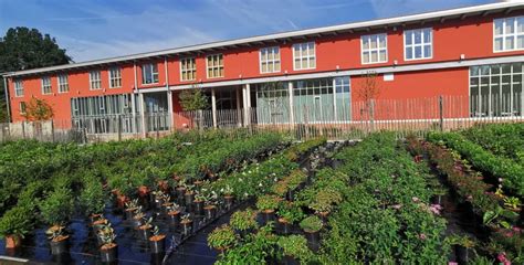 Roville aux Chênes Lautomne saison idéale pour planter les fruitiers