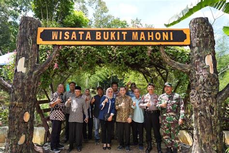 Bukit Mahoni Destinasi Wisata Alam Berisi Pohon Umur Tahun Yang