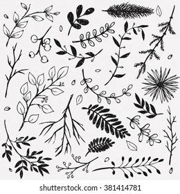 Hand Drawn Vintage Floral Elements Set Stock Vector Royalty Free