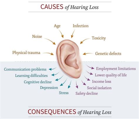 Stanford Initiative To Cure Hearing Loss Stanford Initiative To Cure