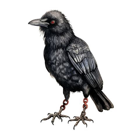 Premium AI Image There Is A Black Bird With Red Eyes Sitting On A