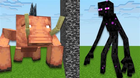 Nether Vs End Minecraft Mob Battle Youtube