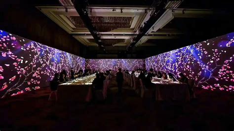 Transparent Large Holographic Projection For Restaurant Buy