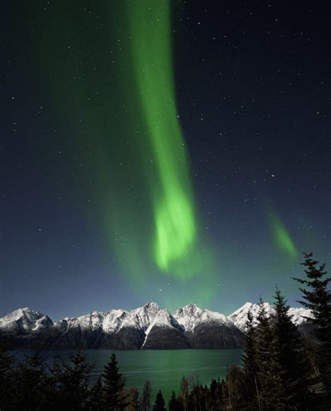 Banff Northern Lights: Your Complete Guide to Seeing Them!