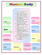 Human Body ESL Worksheet By Gabi1986