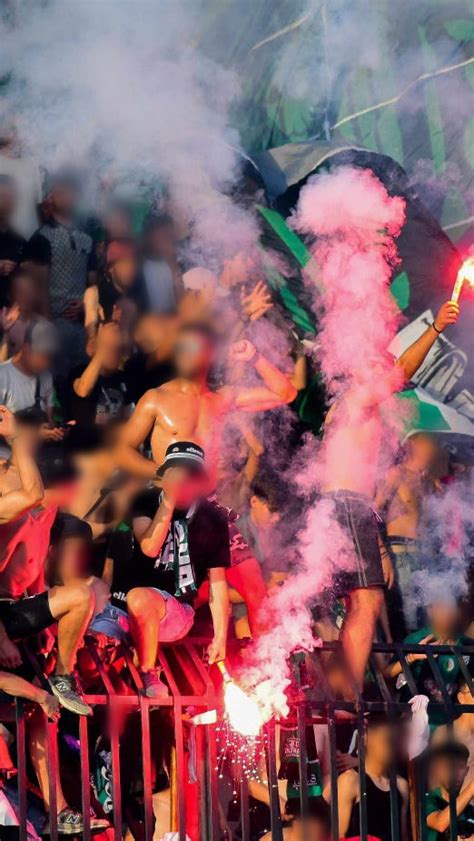 Ultras Green Army Curva Nord Constantine Ultras Tifo Forum