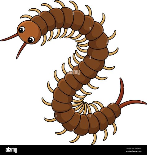 Millipede Not Insect Stock Vector Images Alamy