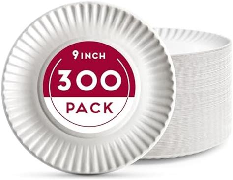 Amazon Alitte Inch Disposable Paper Plates Count Bulk