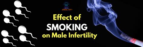 Impact Of Cigarette Smoking On Male Infertility