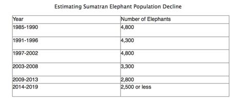 Population Growth Sumatran Elephants At Risk