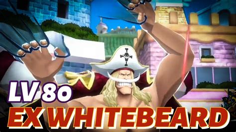 New 5⭐️ Boost 2 Ex Whitebeard Powerful Defender Gameplay One Piece