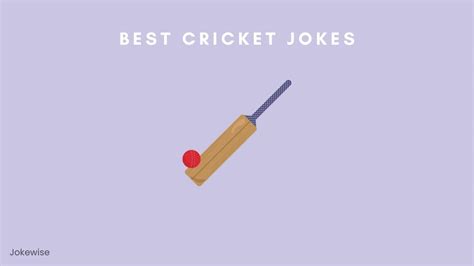 100 Funny Cricket Jokes That Will Make Your Day Jokewise