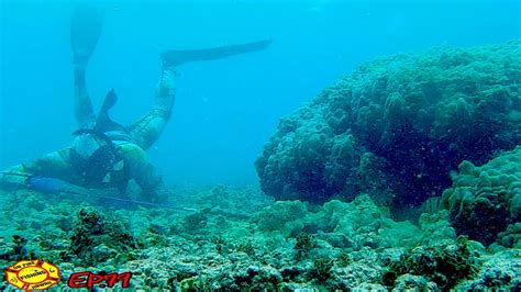 Catching Dinner Spearfishing In Hawaii Three Prong Catch And Cook