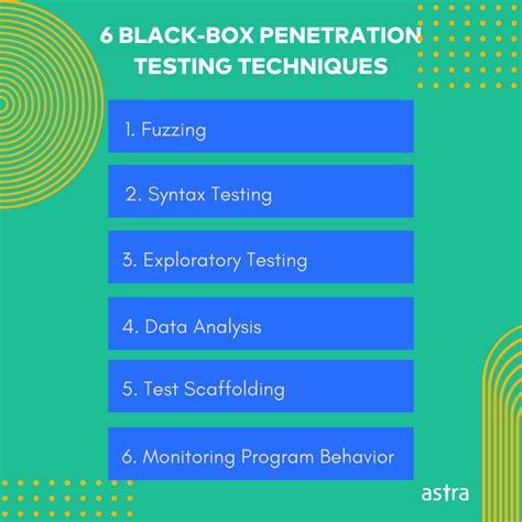 Black Box Penetration Testing A Complete Guide