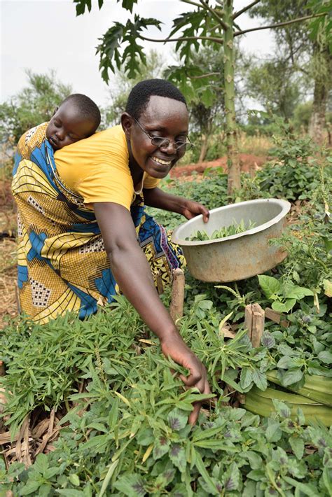 Bilan De La Premi Re Ann E De Mise En Uvre Du Programme De Transition