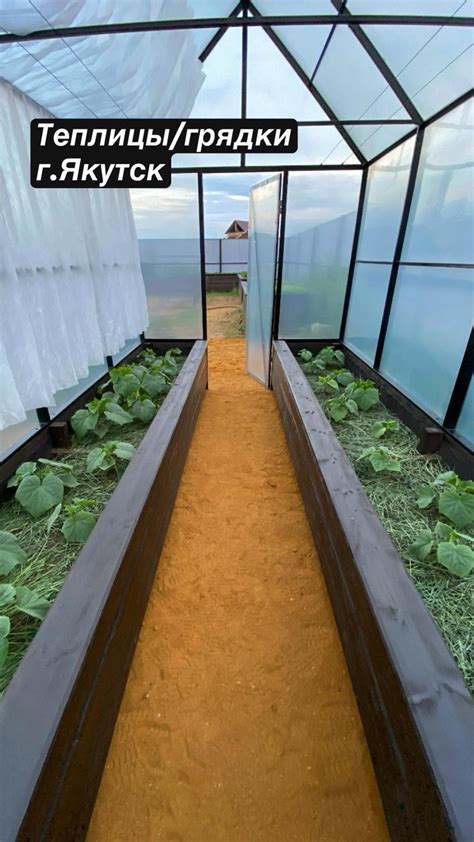 Теплицы/грядки г.Якутск | Теплица, Сад с курятником, Огород