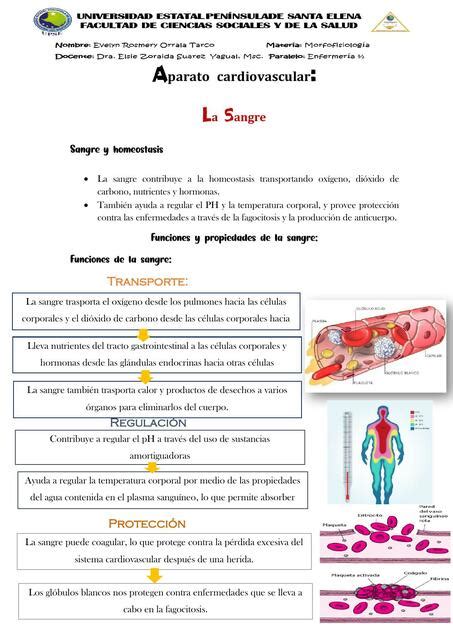 La Sangre Evleyn Rosmery Orrala Tarco UDocz