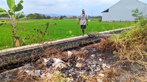 BPBD Sebut Kebakaran Lahan Di Bantul Dipicu Warga Bakar Sampah