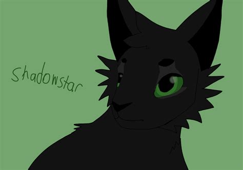 Shadowstar Warrior Cats