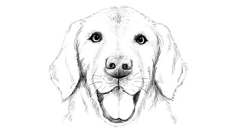 Realistic Dog Drawing at GetDrawings | Free download