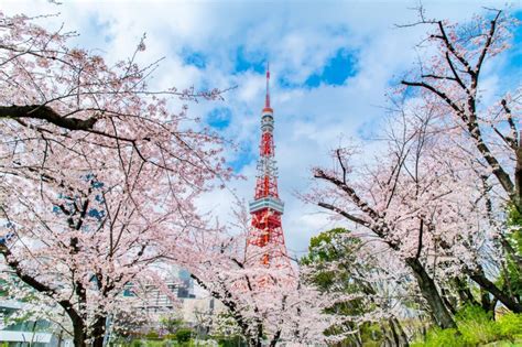 10 Beautiful Spots In Tokyo For Sakura Photography Gaijinpot