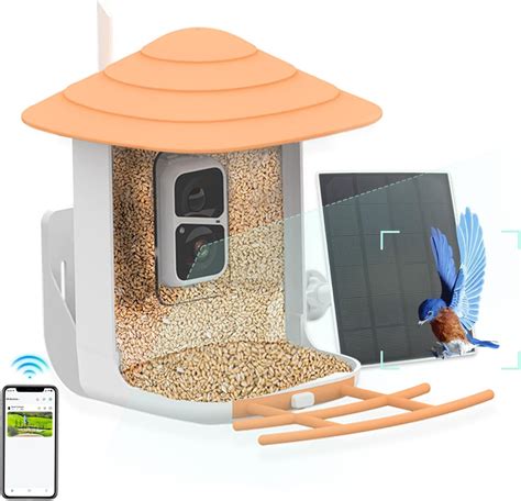 Amazon Nuotun Smart Solar Bird Feeder Camera Bird Watching