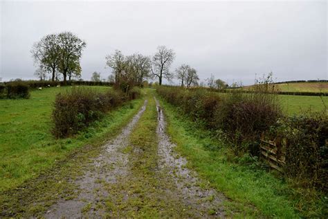 A Rough Lane Camowen Kenneth Allen Geograph Ireland