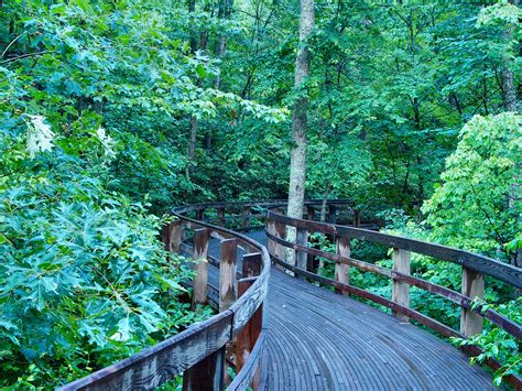 Elevation of Jiggady Rd, New Market, VA, USA - Topographic Map