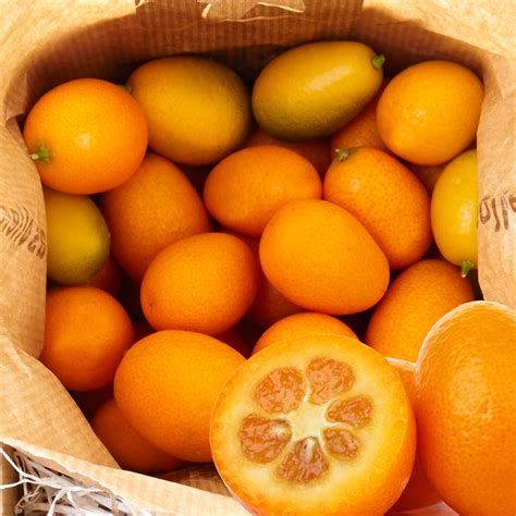 Kumquat Small Orange Fruit | ubicaciondepersonas.cdmx.gob.mx
