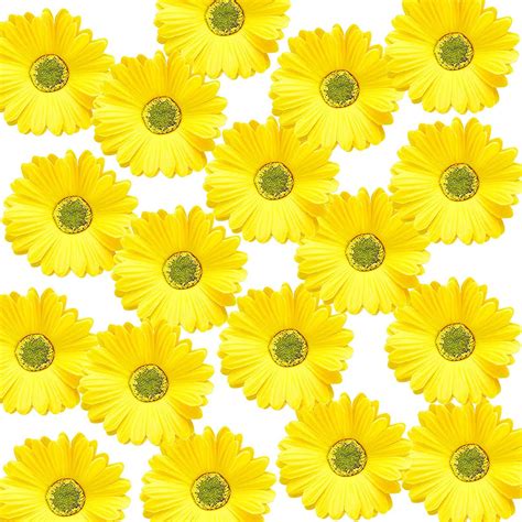 Faux Daisy Faux Flower Gerbera Daisy Faux Gerbera Daisies Faux Flower