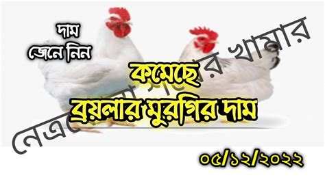 ৫ ডিসেম্বর ২০২২🐔 আজকের ব্রয়লার ও সোনালি মুরগি কত টাকা কেজি এবং ডিমের