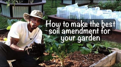 How To Make The Best Soil Amendments For Your Garden Gardening Garden