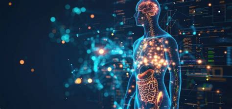 Understanding The Gut Brain Connection How Your Microbiome Affects