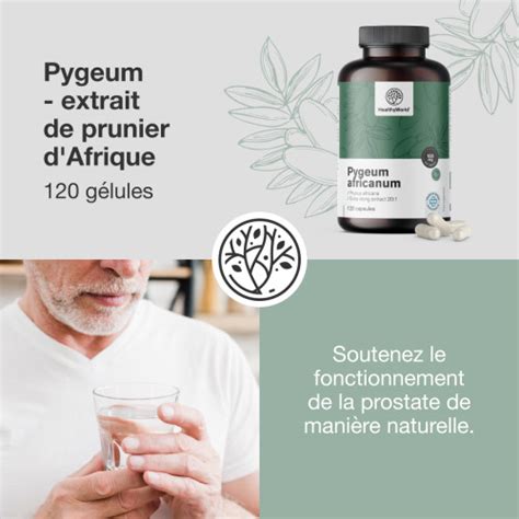 3x Pygeum extrait de prunier d Afrique ensemble 360 gélules