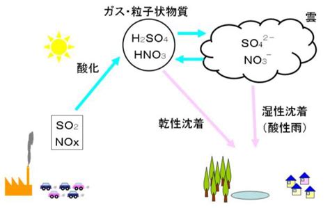 沖縄県における酸性雨調査｜沖縄県公式ホームページ