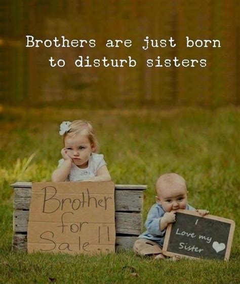 Best Brother Quotes And Sibling Sayings Siblings Funny Quotes Brother Quotes Funny Best