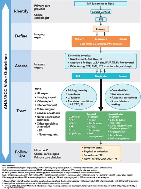 Mitral Regurgitation In 2020 The 2020 Focused Update Of The 2017