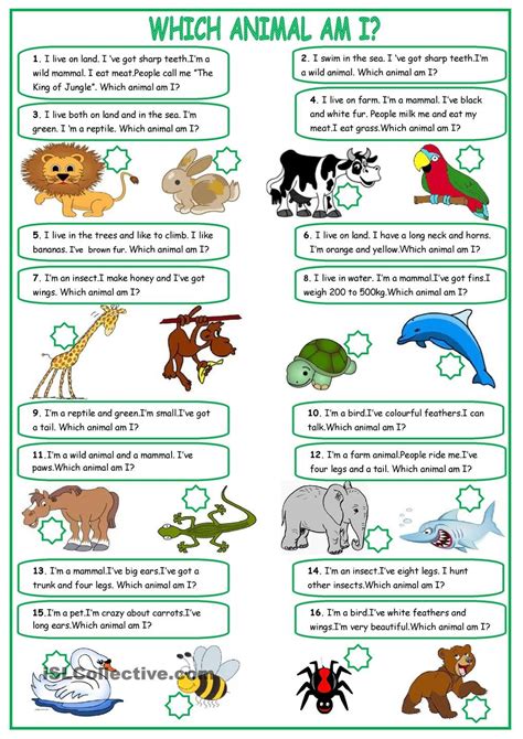 Adjectives To Describe Animals Worksheets